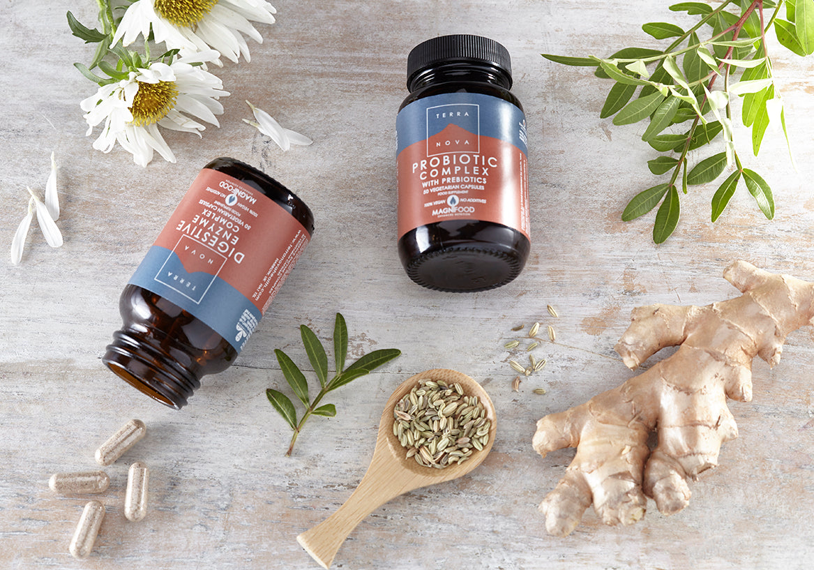 Terranova Health Probiotic Complex & Prebiotics (50 kapslí) - pro podporu střevní mikroflóry - Obrázek 2