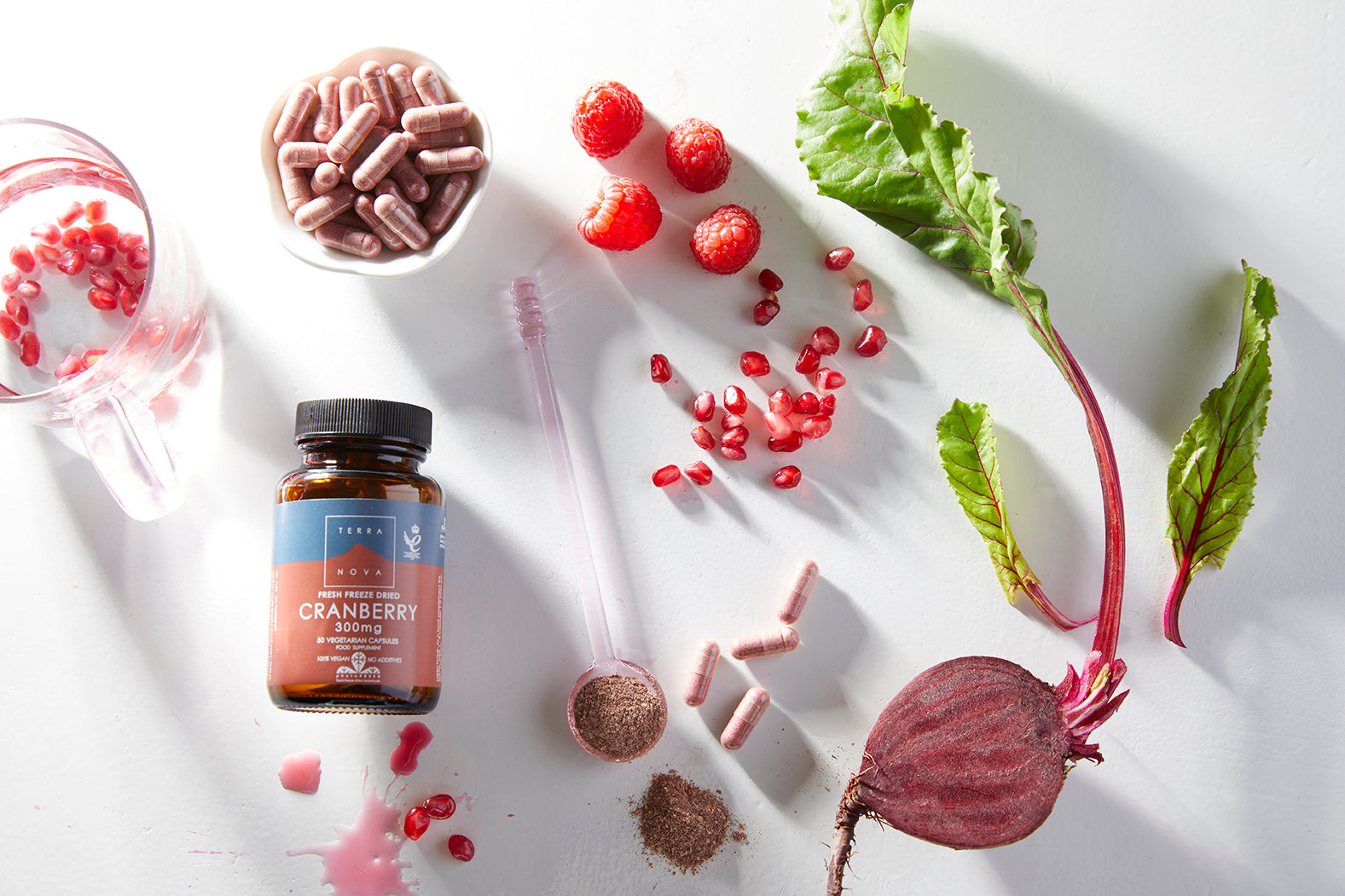 Terranova Health Brusinky sušené mrazem 300 mg BIO (50 kapslí) - s antioxidanty - Obrázek 2